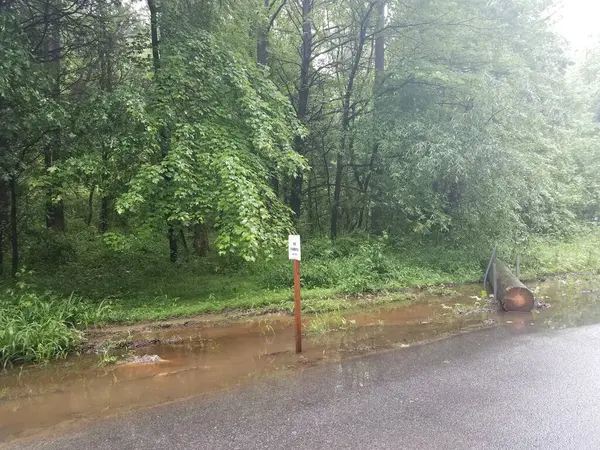 Nie Parking Mokry Znak Obszaru Dużymi Kłodami — Zdjęcie stockowe