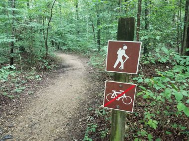 Bisiklet işareti olmayan ormanda bir patika.