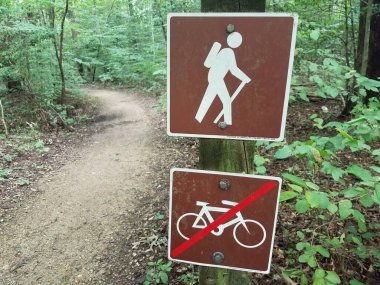 Bisiklet işareti olmayan ormanda bir patika.