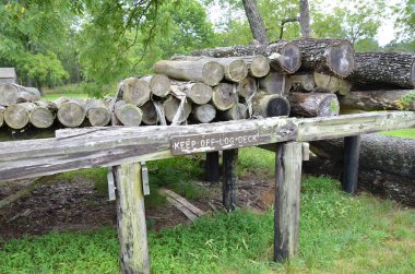 Ahşap yapısı, kütüğü ya da ağaç gövdesi olan güverte işaretini uzak tut