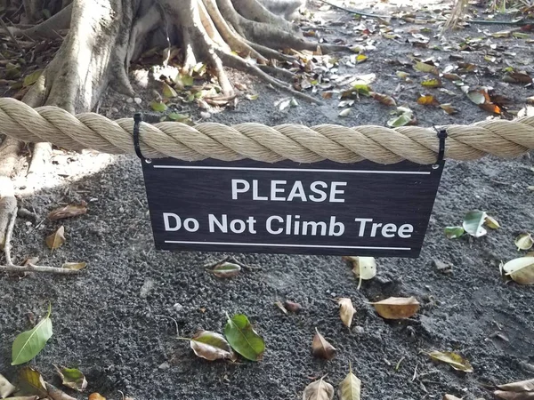 Please Climb Tree Sign Rope Tree Leaves Soil — Stock Photo, Image