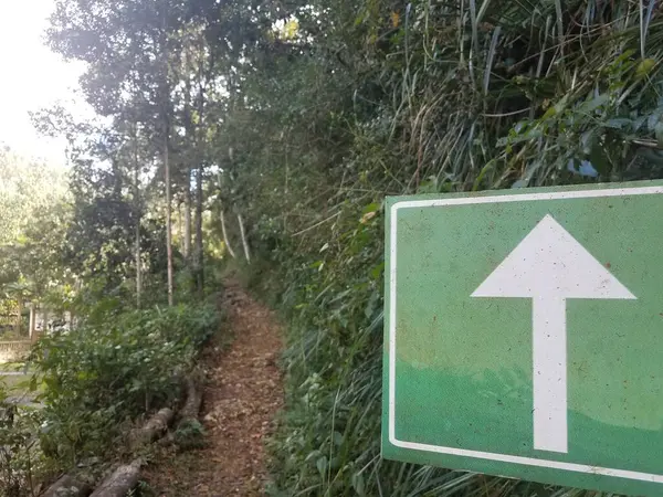 緑の葉や木とプエルトリコのグアハタカの森の中のパスや歩道上の標識に白い矢印やポインタ — ストック写真