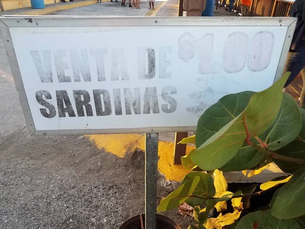 Försäljning Sardinfisk För Dollar Tecken Guancha Ponce Puerto Rico — Stockfoto