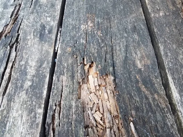 Rotting Dilapidated Worn Weathered Brown Wood Board — Stock Photo, Image