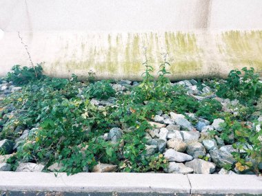 Yerde büyük gri, beyaz ve mavi kayalar ve kirli beton duvarlar.