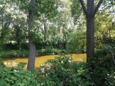 Orta büyüklükte nehir ve kıyılar boyunca yeşil ağaçlar.