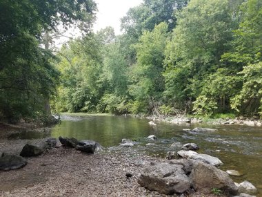 Bir sürü ağaç ve kayanın olduğu küçük bir nehir.