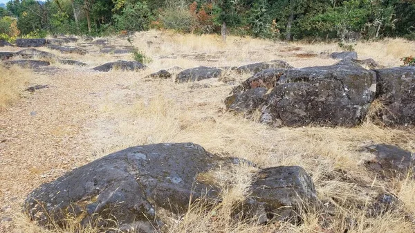 Μεγάλοι Βράχοι Ογκόλιθοι Από Δροσερή Λάβα Και Καφέ Γρασίδι Και — Φωτογραφία Αρχείου