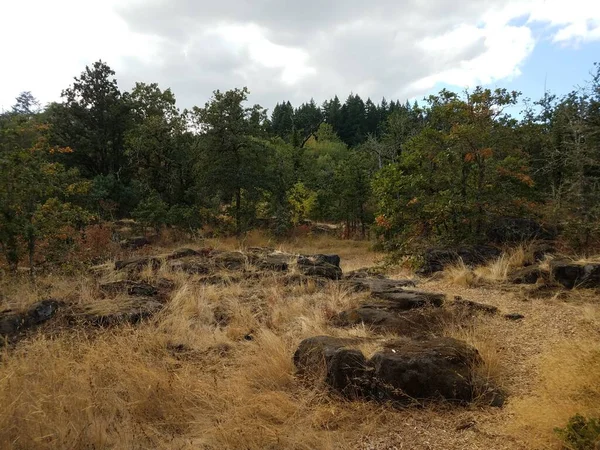 Rocas Grandes Cantos Rodados Lava Enfriada Pasto Marrón Árboles Oregon — Foto de Stock