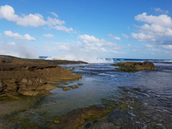Felsenküste Strand Oder Der Küste Mit Gezeitenpools Isabela Puerto Rico — Stockfoto
