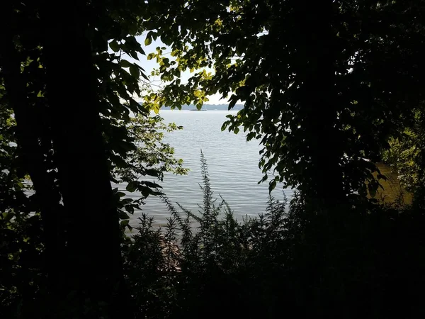 Viewing Potomac River Trees Shade — Stock Photo, Image