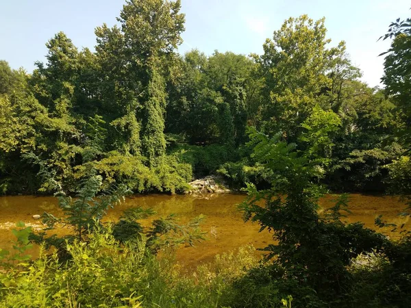 Mittelgroßer Fluss Und Grüne Bäume Ufer — Stockfoto