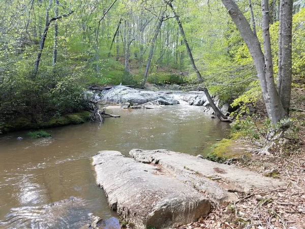 Batu Atau Batu Dengan Air Sungai Hutan Atau Hutan — Stok Foto