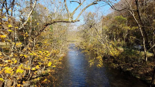 有树叶 枝条和树木的河流或溪流 — 图库照片