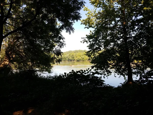River Lake Pond Trees Shade — Stock Photo, Image