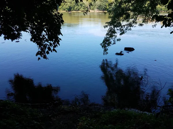 Rio Lago Lagoa Árvores Sombra — Fotografia de Stock