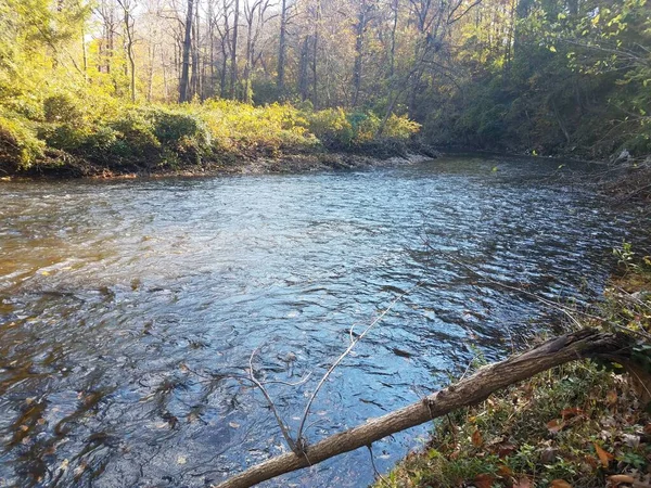 Río Arroyo Orilla Con Árboles Hojas Amarillas — Foto de Stock