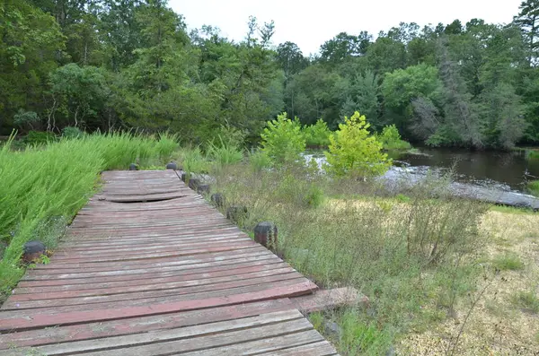 Rood Houten Platform Dek Aan Rivierwater Met Bomen — Stockfoto