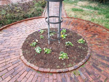 kırmızı tuğla kaldırım veya patika ve yeşil bitkiler