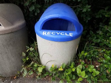 mavi geri dönüşüm kutusu veya yeşil bitkilerle dolu konteyner