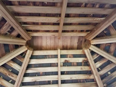 Kulübenin tavanında kuş yuvaları olan tahta kirişler.