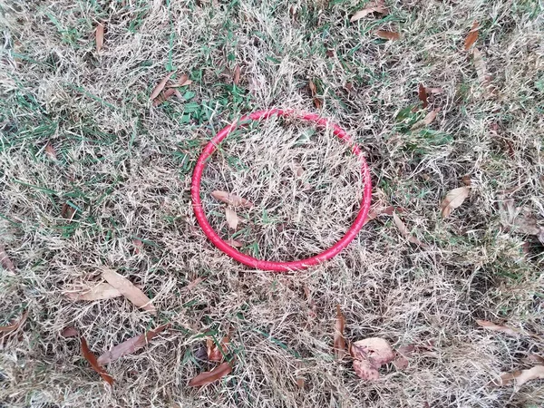 绿色草地或草坪上的红色圆形环状物 — 图库照片