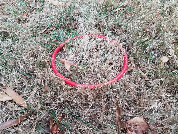 Rode Cirkelvormige Ring Bruin Groen Gras Gazon — Stockfoto