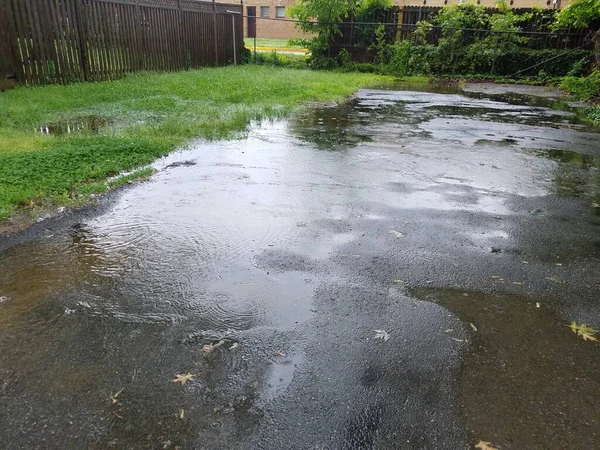 Duża Kałuża Wody Deszczu Podjeździe Asfaltowym Trawniku Trawiastym — Zdjęcie stockowe