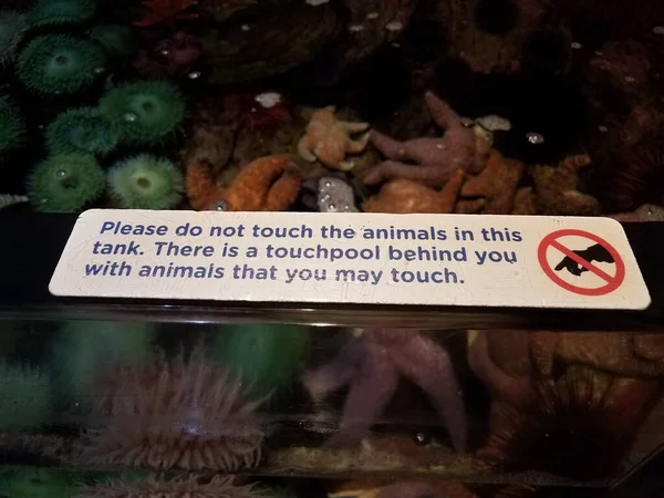 Please Touch Animals Tank Pool Sign — Stock Photo, Image