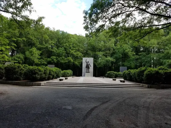 Estatua Theodore Roosevelt Escalones Árboles — Foto de Stock