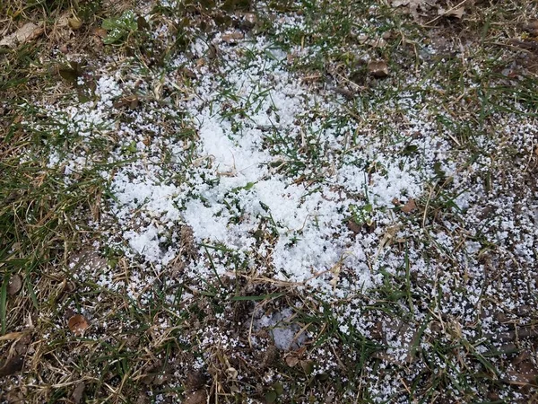 Vitt Pulver Eller Snöämne Gräs Eller Gräsmatta Eller Gård — Stockfoto