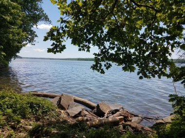 Potomac nehrinin kıyısında ağaçlı büyük kayalar.