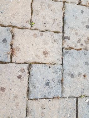 Kuş dışkısı lekeleriyle taş döşeme yolu