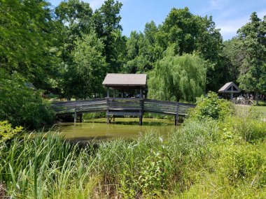 Yeşil bitki örtüsü ve tahta köprüsü olan bulanık bir gölet.