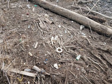 Ahşap ve sopalar ve dallar ve çöp veya çöp kirliliği