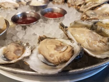 Bir tabak buzlu istiridye ve sos.