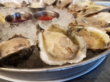 Bir tabak buzlu istiridye ve sos.