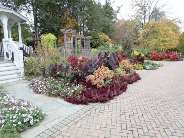 kırmızı bitkiler ve çiçekler ve tuğla patika veya patika