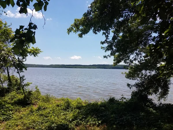 Río Potomac Desde Orilla Con Árboles Hierba Sombra —  Fotos de Stock