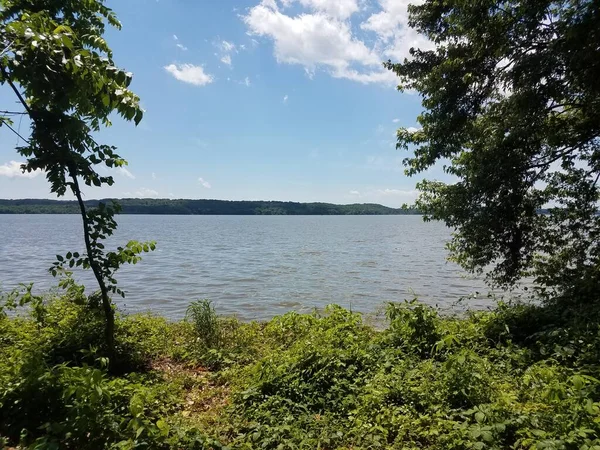 Rio Potomac Costa Com Árvores Grama Sombra — Fotografia de Stock