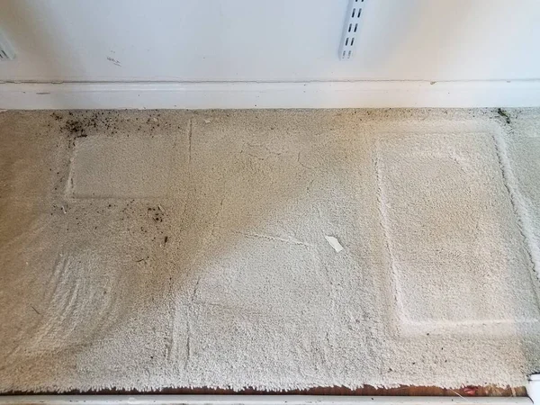 Tapis Tapis Blanc Dans Placard Avec Caca Souris Des Excréments — Photo