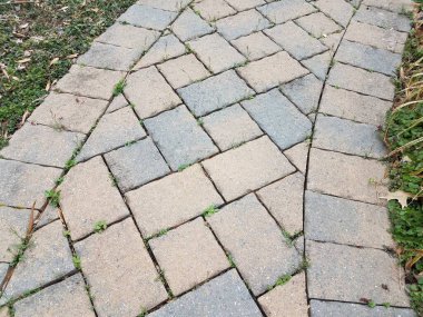 pembe ve gri taş döşeme yolu veya otlu patika