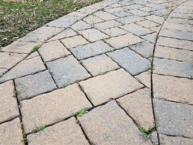 pembe ve gri taş döşeme yolu veya otlu patika