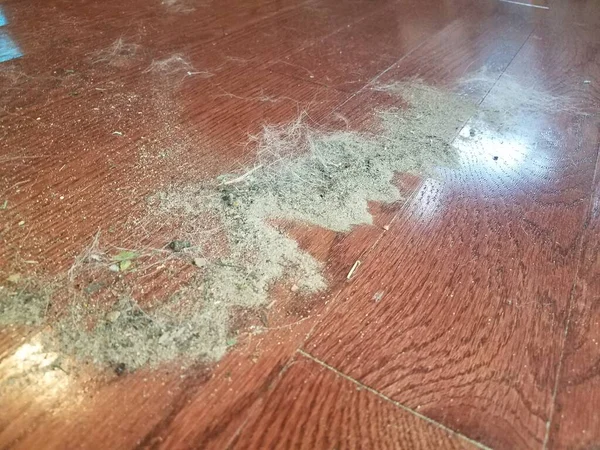 a pile of dust, dirt, and animal hair on a brown wood floor