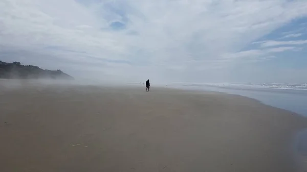 person walking on sand on beach with ocean and waves in Newport, Oregon