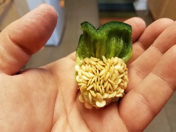 Mão Segurando Núcleo Pimenta Verde Com Sementes Cozinha — Fotografia de Stock