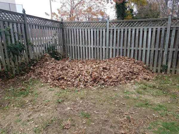 Large Pile Mound Brown Fallen Leaves Yard Wood Fence Bike Stock Image