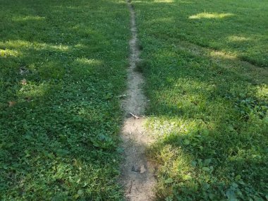 yeşil çimenler ya da toprak yolu ya da patikası olan çimenler