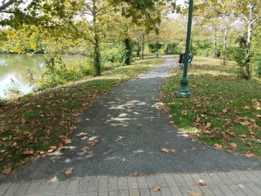 Düşen yapraklar ve suyla parkta yol.