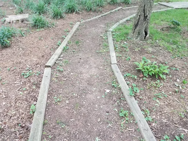 木の境界線を持つ泥や泥の道 — ストック写真